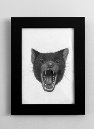 Portrait of a Tasmanian Devil. Simple & photorealistic, goes with anything making it easy to hang up or display in any setting. 