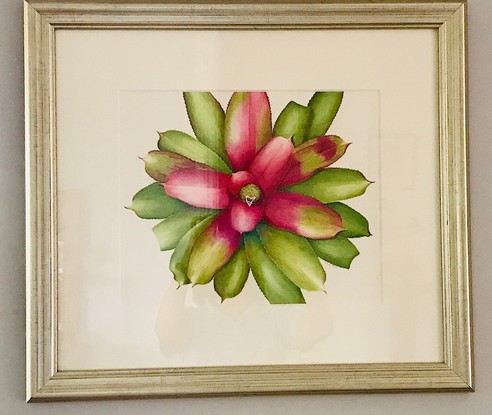  Neoregelia species from the Bromeliad family captured looking from above.   Framed behind glass with acid free single thick mount in a gold flecked frame.   If you'd like to buy the painting without the glass and frame please let Bluethumb know.