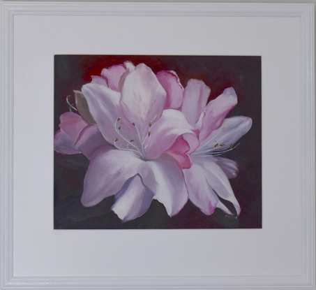 Painting of pink azalea flowers on a dark burgundy background.