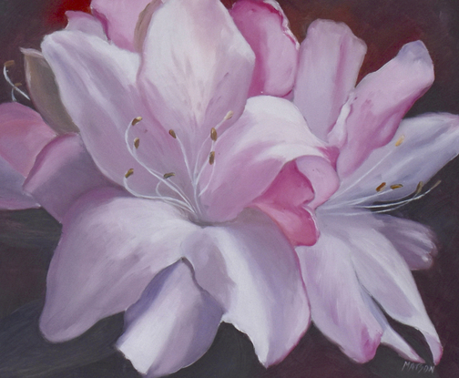 Painting of pink azalea flowers on a dark burgundy background.