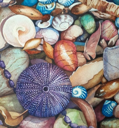 A colourful array of shells and pebbles found on a shoreline