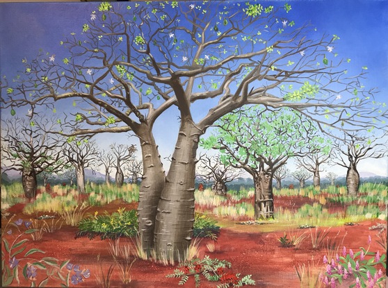 Boab trees in the outback with flowers