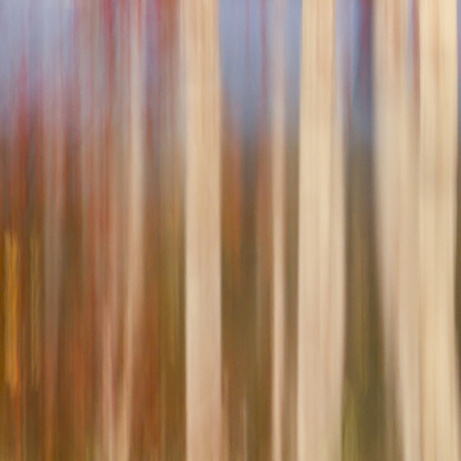 River RunsThrough from the body of work - ‘Ordinary Interesting -  Landscape Whispers’. A single shot in camera by emerging artist Ann Parrott with a Limited Edition of 21. Captured on the Springbrook Road in the Gold Coast Hinterland.