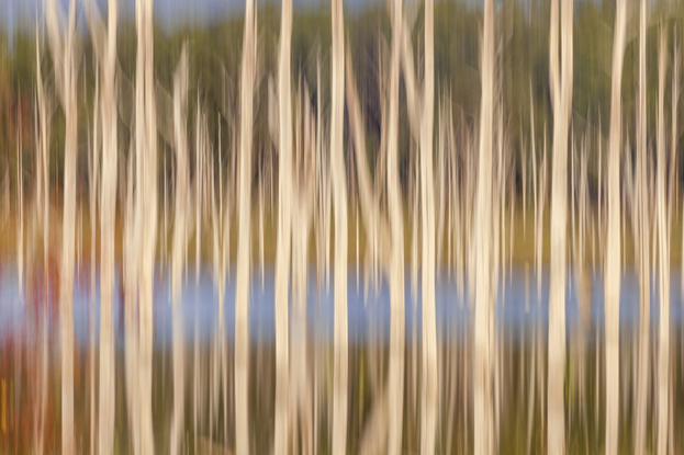 River RunsThrough from the body of work - ‘Ordinary Interesting -  Landscape Whispers’. A single shot in camera by emerging artist Ann Parrott with a Limited Edition of 21. Captured on the Springbrook Road in the Gold Coast Hinterland.