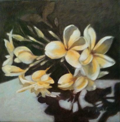 White and yellow frangipani still life