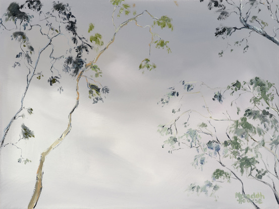 Night artwork of Gum  tree with lightening. Luminous sky with trees. 