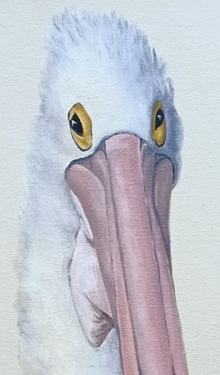 Pelican Portrait in semi profile to the right. Soft blush pink and grey on off white background.  Framed in a soft blush pink washed wood frame.