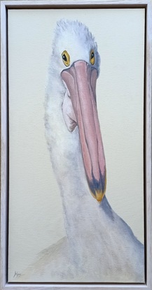 Pelican Portrait in semi profile to the right. Soft blush pink and grey on off white background.  Framed in a soft blush pink washed wood frame.