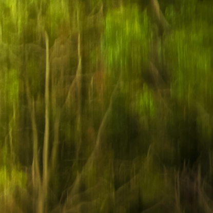 Emerging. Unfolding from the treeline this obscure historic structure emerges from the foliage. The gas stripping tower is a fascinating piece of older Brisbane. Layers of texture via movement, creating an intriguing and painterly feel to this vibrant piece. From the body of work - ‘Ordinary Interesting - Kinetic City’, by emerging artist Ann Parrott with a Limited Edition of 21. 