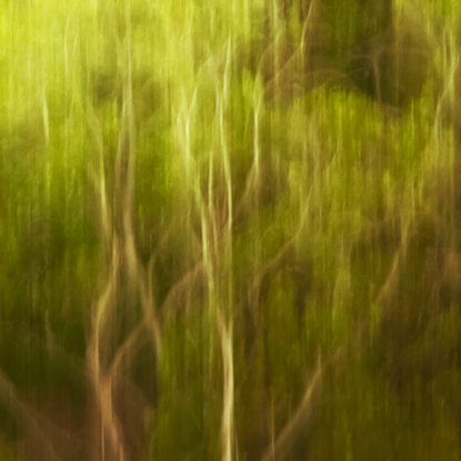 Emerging. Unfolding from the treeline this obscure historic structure emerges from the foliage. The gas stripping tower is a fascinating piece of older Brisbane. Layers of texture via movement, creating an intriguing and painterly feel to this vibrant piece. From the body of work - ‘Ordinary Interesting - Kinetic City’, by emerging artist Ann Parrott with a Limited Edition of 21. 