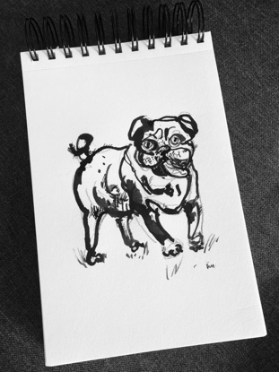 A dog portrait in black ink - one off hand drawing on paper