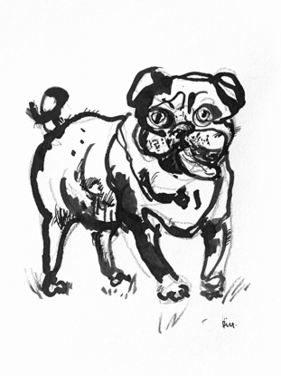 A dog portrait in black ink - one off hand drawing on paper