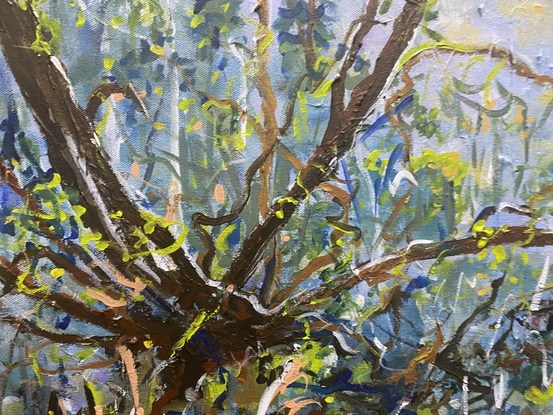 There is a music to this scene of the bush so that you can hear the soft swaying of the blue gums, insect sounds and bird calls in this little piece of the Australian bush. I love the Hinterland with its semi rain forests and creeks and this painting is reminiscent of those beautiful times spent on bush walks.  this particular tree called out to me to paint it and to me its unique and unusual twists reflect the character of the bush which I think assumes its own identity. Through the painting process, it became an old friend and i hope someone else can feel this in viewing the painting.