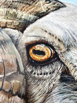 An oil painting depicting a brown and white ram sheep with impressive horns, standing proud among mountains and dry Australian farmland grass.