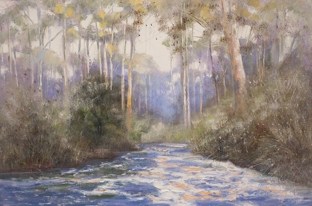 River flowing through a karri tree forest