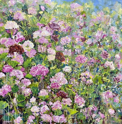 Bright colourful pink white and burgundy geraniums in a cottage garden.  Splashes of pinks, burgundy and gold. A large square canvas that dances with flowers and energy. 