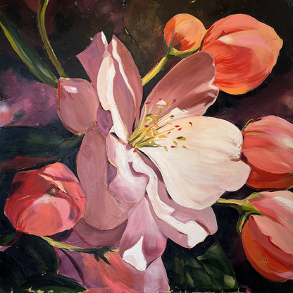 'Sun Kissed Blossoms' is dominated by a pear blossom that is opening its petals to the sun, the sun is kissing the edges of the petals  giving the painting a soft white central glow, set against a deep midnight blue and maroon background. Five unopened blossoms come forward from behind the central blossom which are warm with a reddish orange and peach hue. The painting is finished off with hints of metallic gold paint, and gold edges.