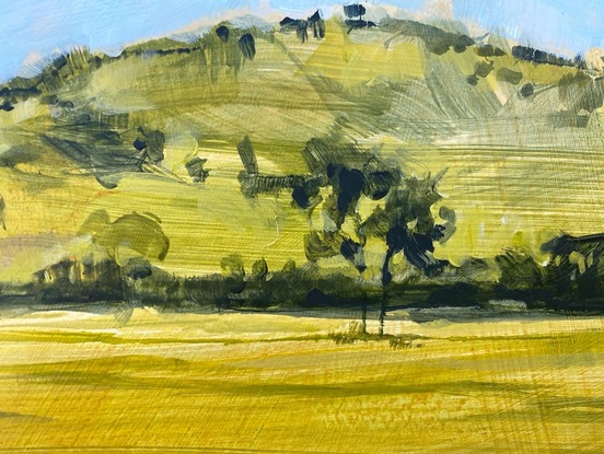 Trees in a field with hills behind