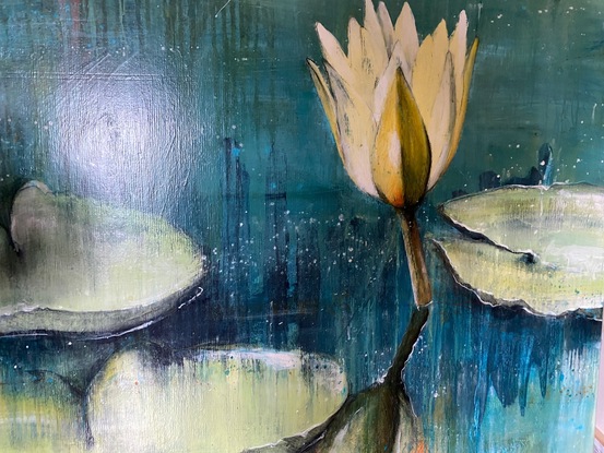 Close up of Water lilies and flower on the water