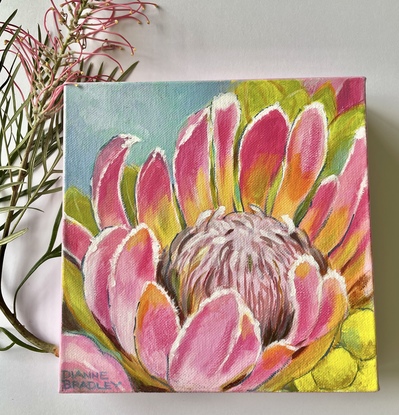 Pink Protea on sky blue background