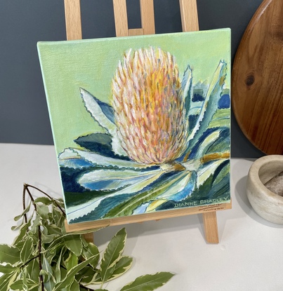 ‘Peach Banksia’
On a pastel background