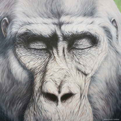 Gorilla oil painting by wildlife artist Mahdhav Sarna