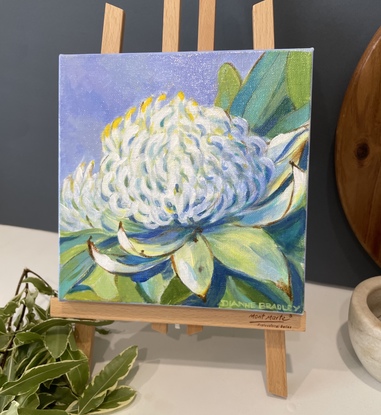 White Waratah in pastel colours