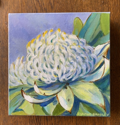 White Waratah in pastel colours