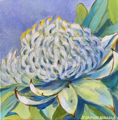 White Waratah in pastel colours