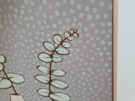 two silver dollar eucalyptus plants in vases