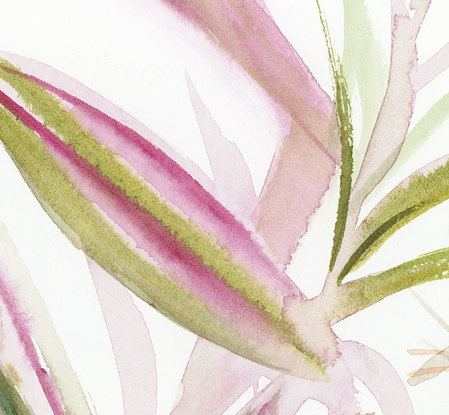 Watercolour painting of pink, magenta lilies with a butterfly