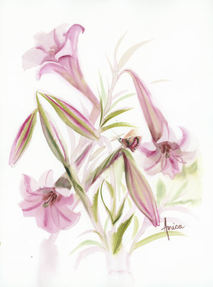 Watercolour painting of pink, magenta lilies with a butterfly