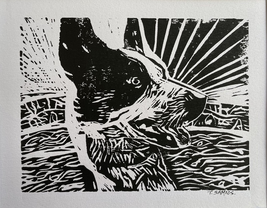 Portrait lino cut print of a blue heeler cross cattle dog. Close up of a dog’s face in black and white with its tongue hanging out. Sun rays in the background. 