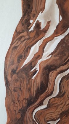 A detailed image of the bark of a eucalypt tree on a warm white background.  The colours are raw umber and burnt sienna on a warm white background.