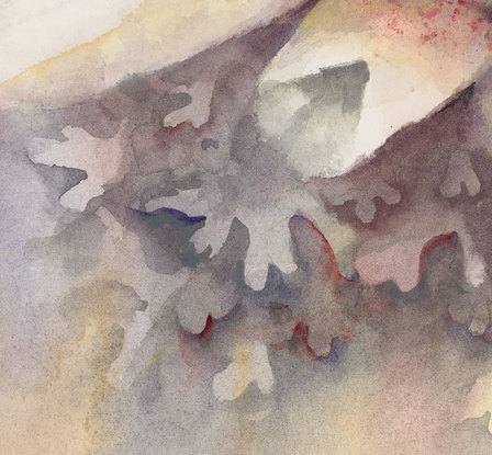 Watercolour painting of soft atmospheric flannel flowers