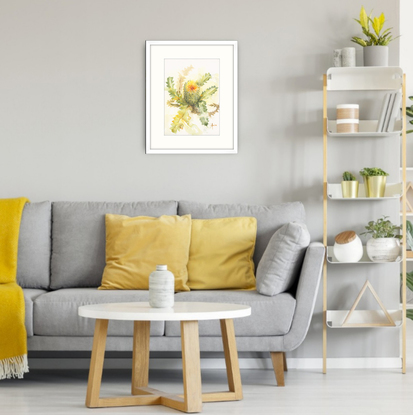 Watercolour painting of an Australian native flower the   Banksia bloom with its serrated leaves around it, set on a white background.