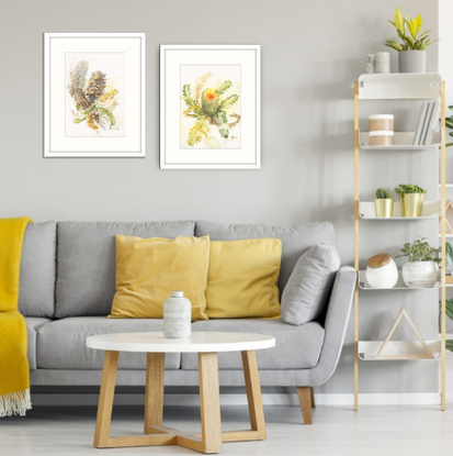 Watercolour painting of Australian Flora, Banksia Serrata.  Old Man Banksia cone on a gnarly branch with serrated leaves around it.