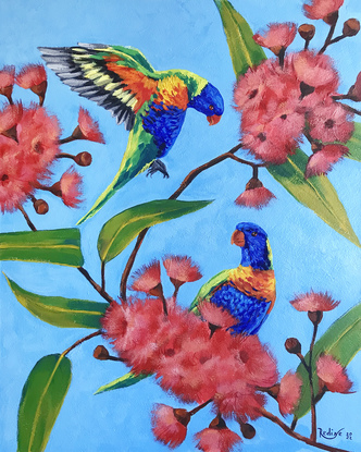 Rainbow lorikeets on a blossoming gum tree original painting by Irina Redine. Framed and ready to hang original artwork.