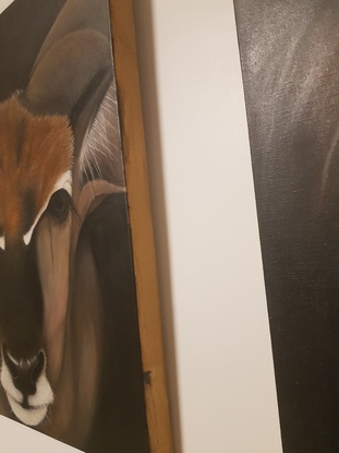 Two Acrylic paintings of the majestic Giant Elands from Africa. I tried to capture their magnificence along with their deep sadness they seem to carry in their eyes.