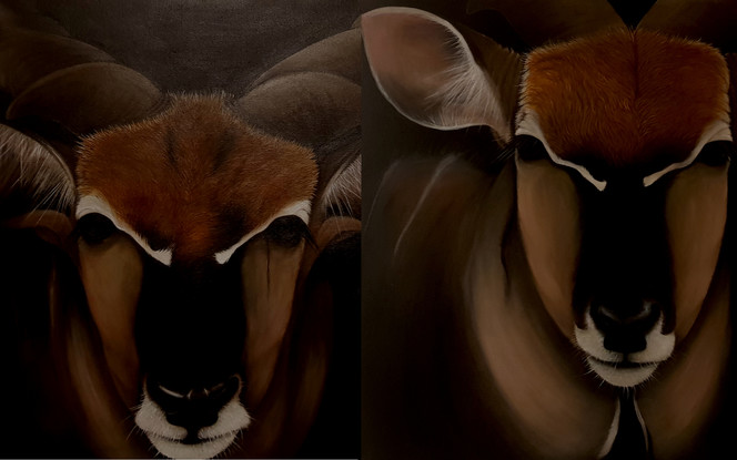 Two Acrylic paintings of the majestic Giant Elands from Africa. I tried to capture their magnificence along with their deep sadness they seem to carry in their eyes.