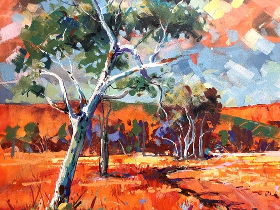 Vibrant landscape with Boab and gumtrees. 