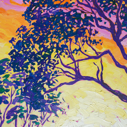 Large gumtree in the foreground with small trees in the background with colourful sunset casting shadows