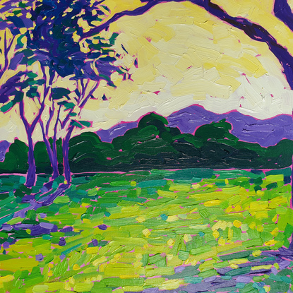 Large gumtree in the foreground with small trees in the background with colourful sunset casting shadows