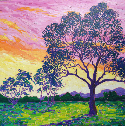 Large gumtree in the foreground with small trees in the background with colourful sunset casting shadows