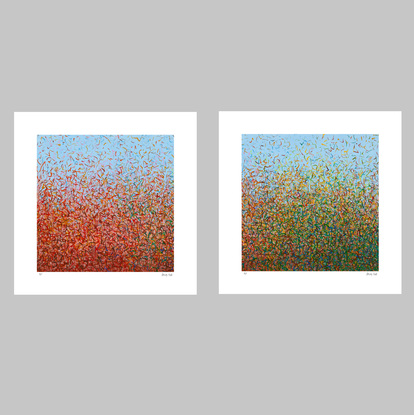 'Oodnadatta-  set of 3' has been released as a limited edition print of 35. It is reproduction of my original mixed media paintings. Ideal for home or the office to create some calm.