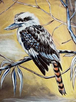 Kookaburra sitting on a branch of eucalyptus tree. 