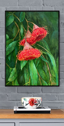 Three bright pink eucalyptus flowers, bright green leaves.