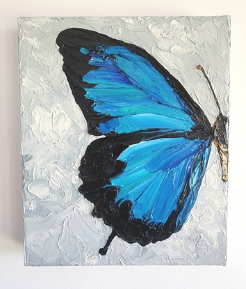 Half blue/black butterfly on light blue/grey background.