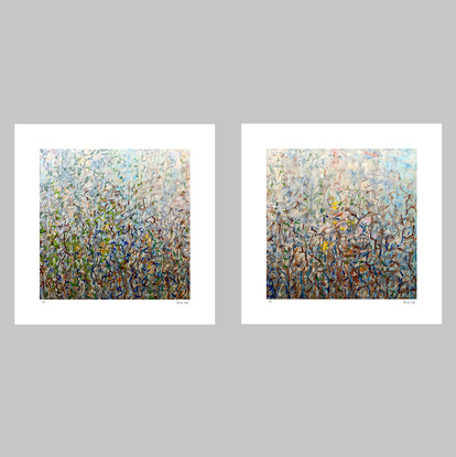 'Nature's Dance-  set of 3' has been released as a limited edition print of 35. It is reproduction of my original mixed media paintings. Ideal for home or the office to create some calm.