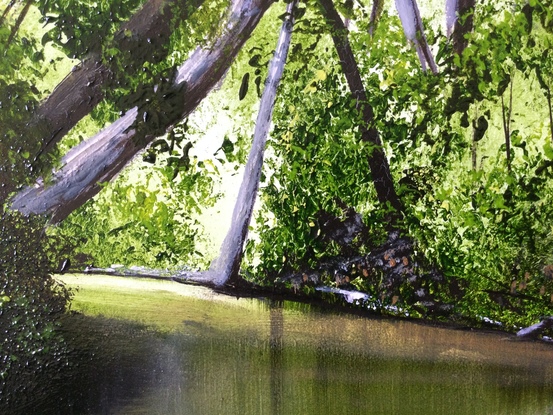 Calmer water river in outback 